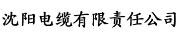 亚洲欧美洲一区二区三区电缆厂logo